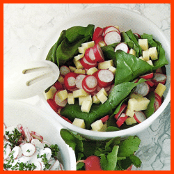 Radieschen Salat in 2 Varianten, Zubereitungszeit 15 Minuten