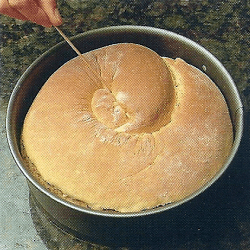 Hefekuchen Kärntner Reindling 
