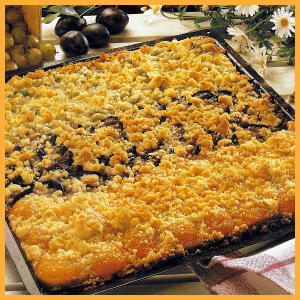 Obstkuchen Rezept mit Aprikosen, Pflaumen und Stachelbeeren