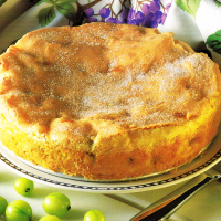 Heidelbeer-Schnitten und Gedeckter Stachelbeerkuchen